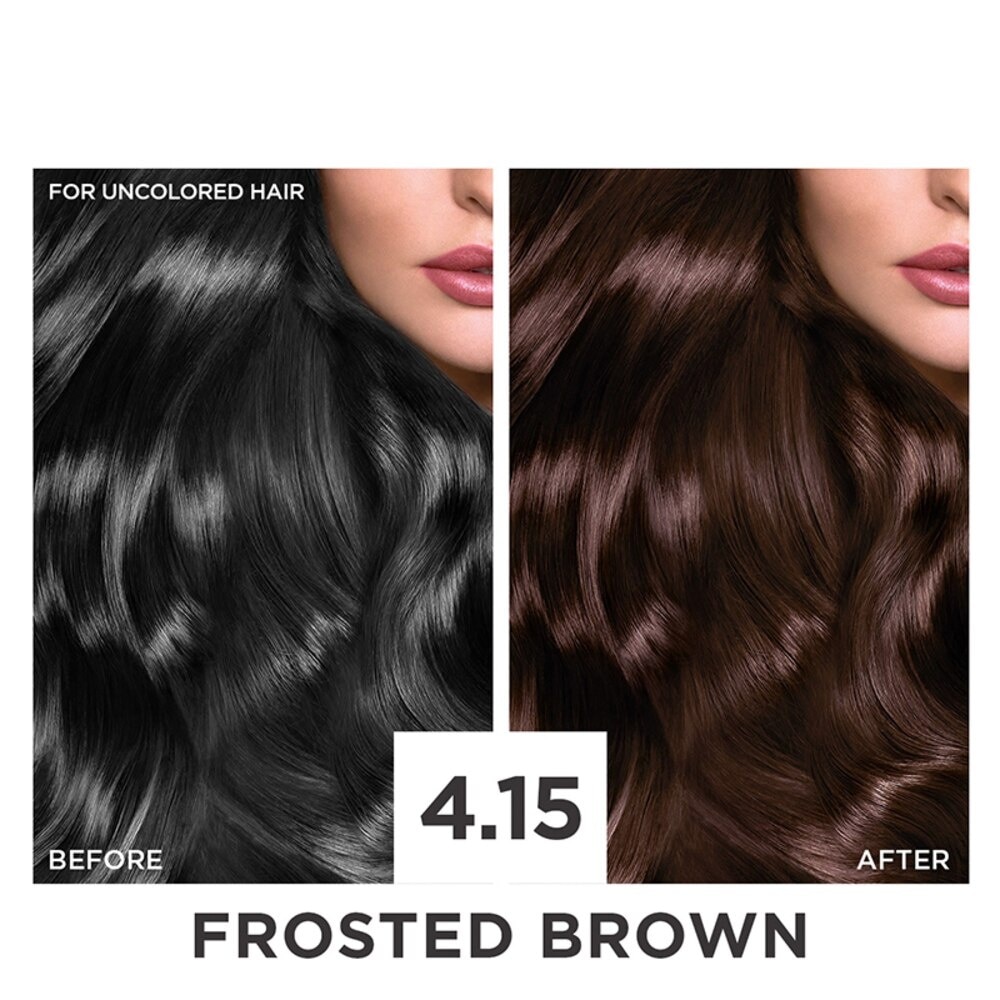 Excellence Creme Hair Color 4.15 Frosted Brown